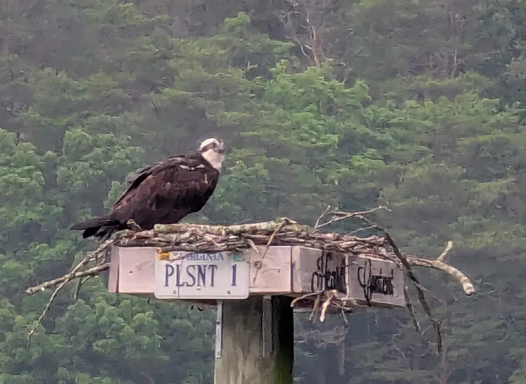 Pleasant Pointe