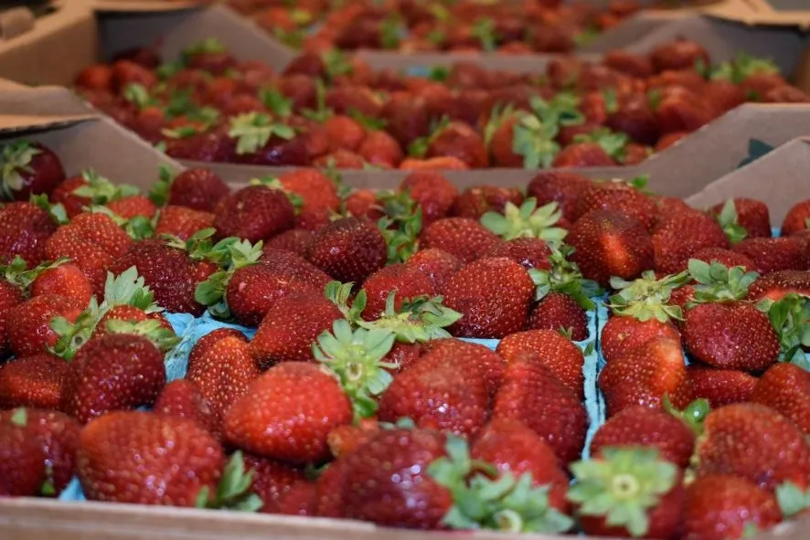 St. Stephen's Strawberry Festival