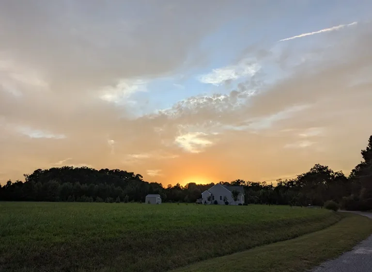 Pleasant Pointe