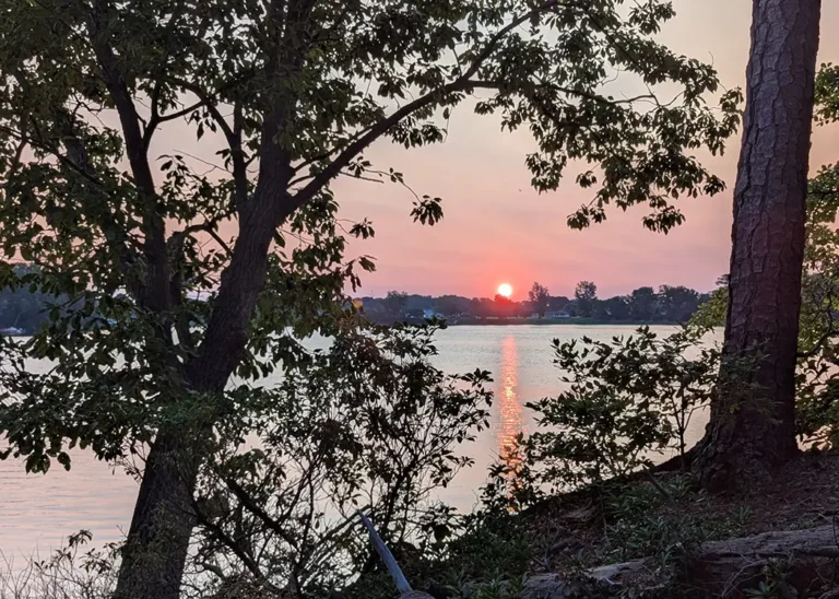 Pleasant Pointe