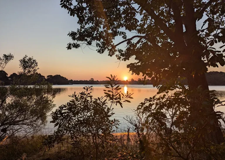 Pleasant Pointe