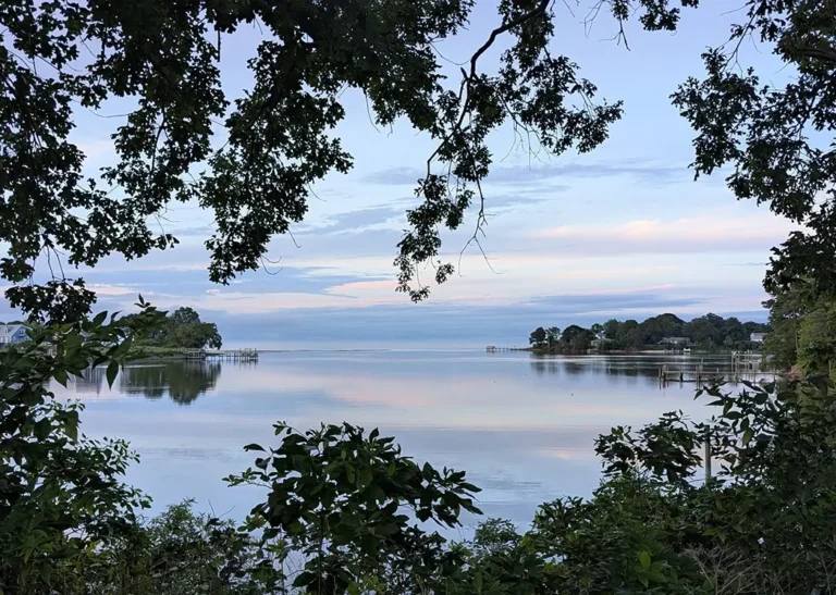 Pleasant Pointe