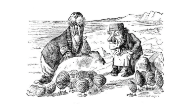 Profiles of an Oyster